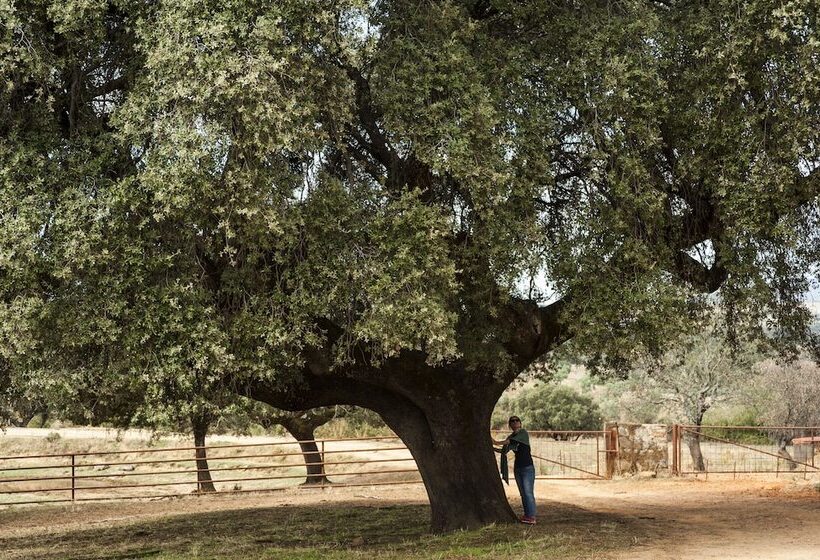 فندق Hábitat Cigüeña Negra