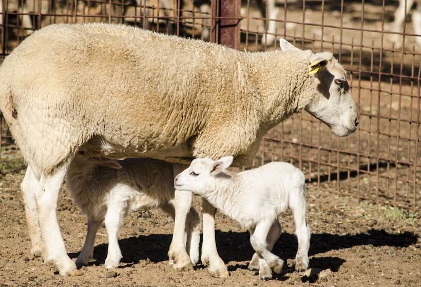فندق Hábitat Cigüeña Negra