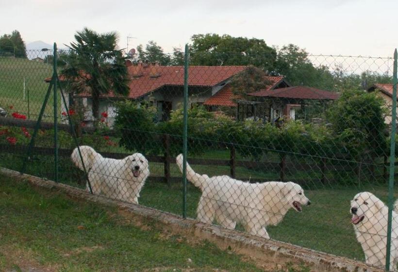 بنسيون La Robinera