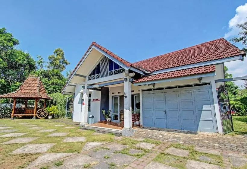Pension  Lanaya Guest House