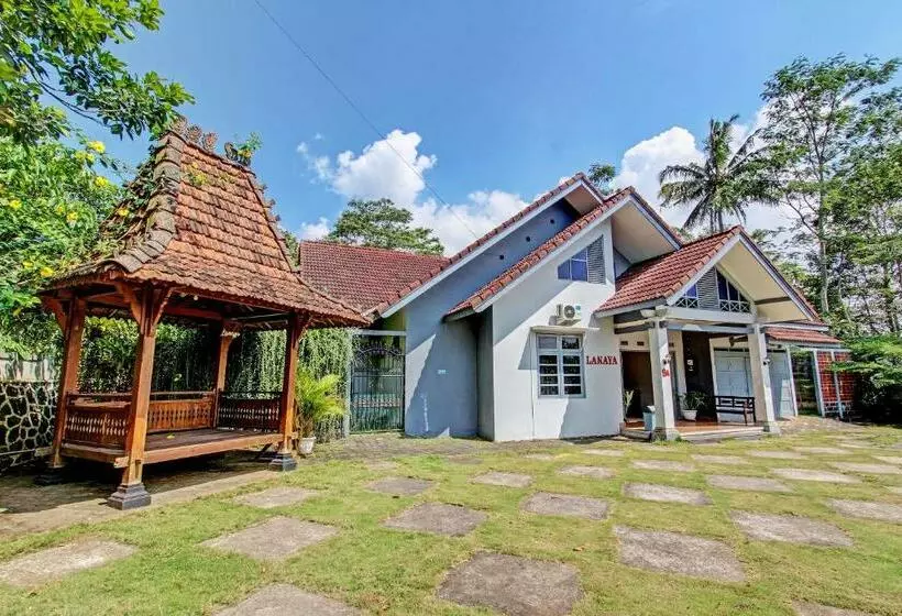 Pension  Lanaya Guest House