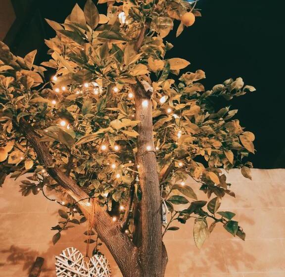 تختخواب و صبحانه Dhara House Malta