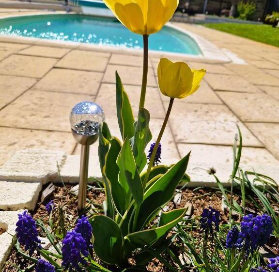 צימר Les Quintanes