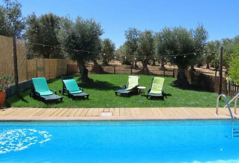 فندق Monte Além Tejo