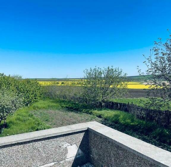 پانسیون La Elvetian