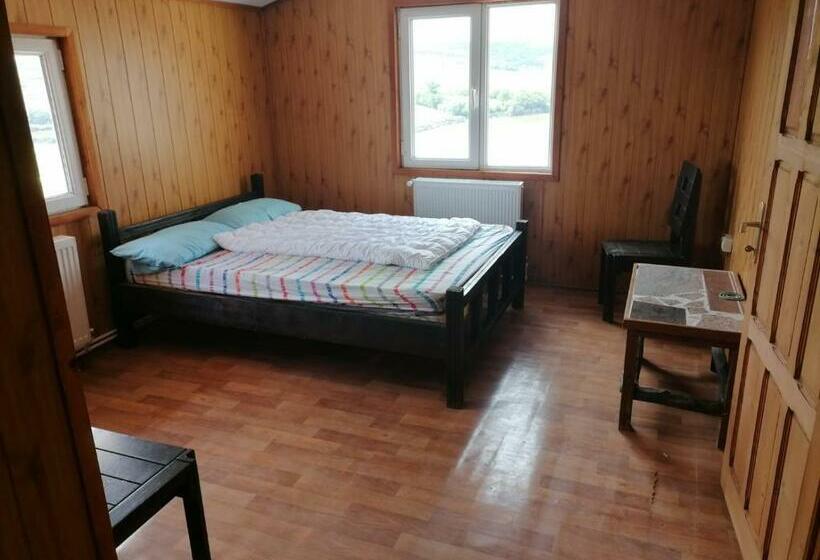 پانسیون La Elvetian