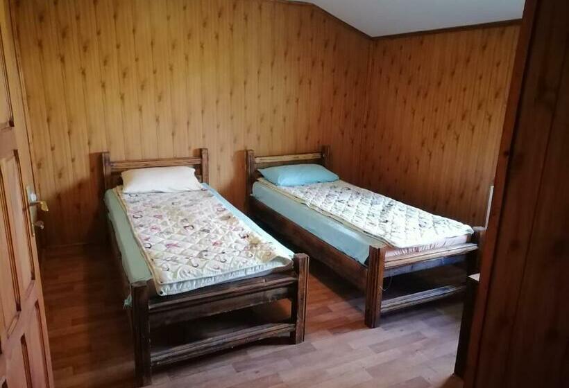 پانسیون La Elvetian