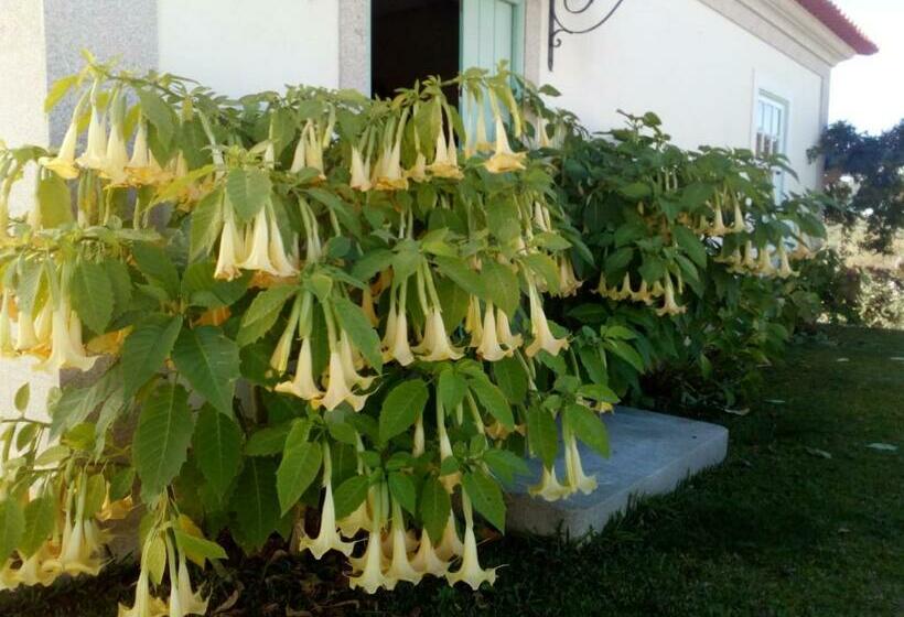 ベッドアンドブレックファースト Casa Da Pergula