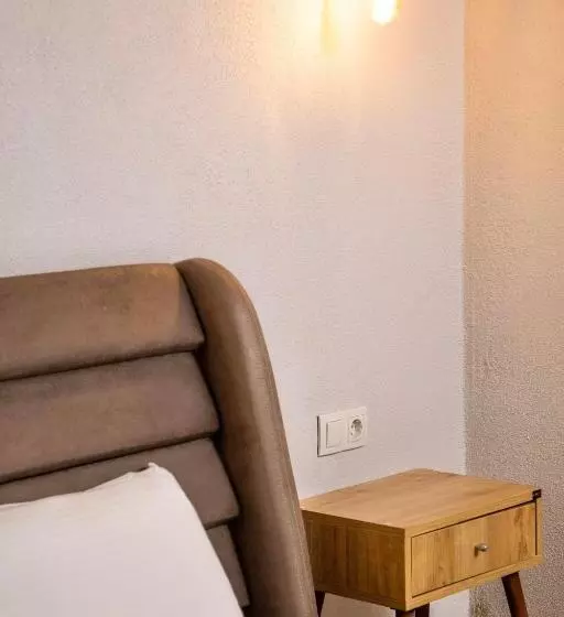 تختخواب و صبحانه Sapancaminihouse