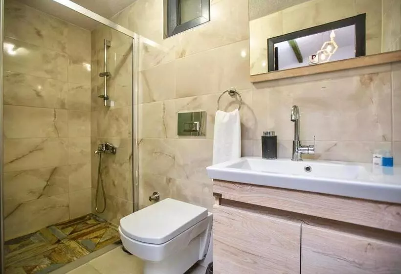 تختخواب و صبحانه Sapancaminihouse