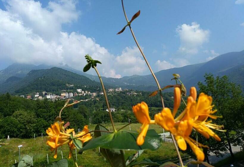 بنسيون La Tavernetta Del Riccio