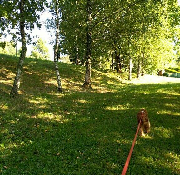 بنسيون La Tavernetta Del Riccio