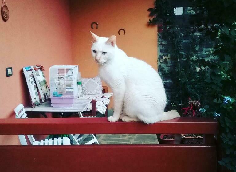 بنسيون La Tavernetta Del Riccio