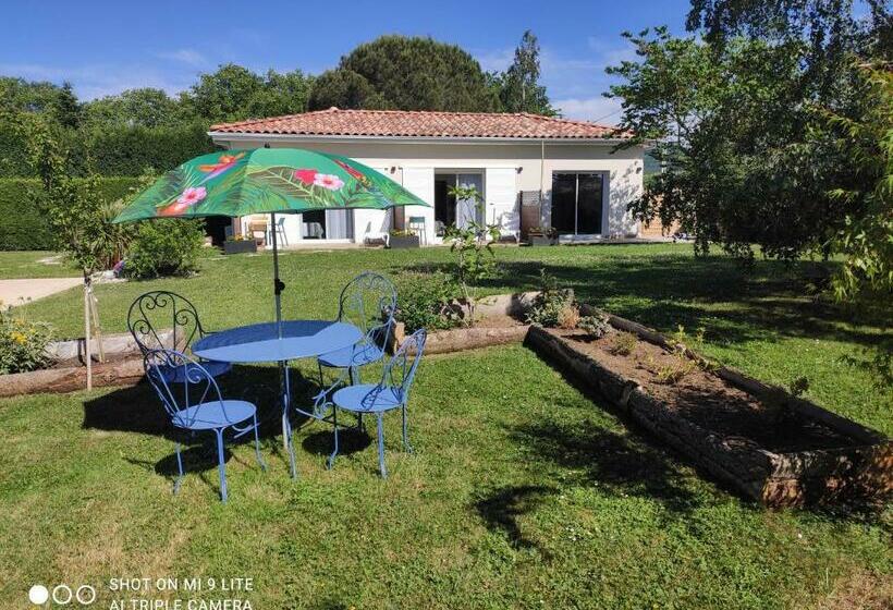 פנסיון Les Pitchounettes