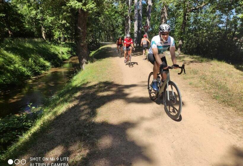 פנסיון Les Pitchounettes