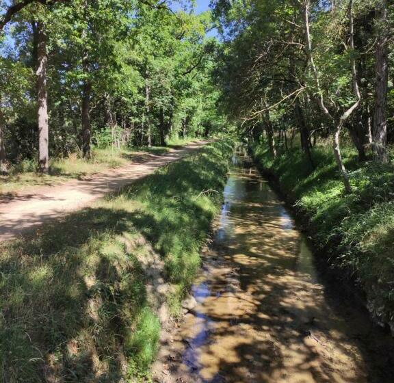 פנסיון Les Pitchounettes