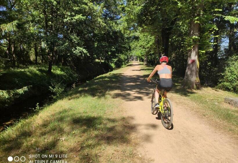 פנסיון Les Pitchounettes