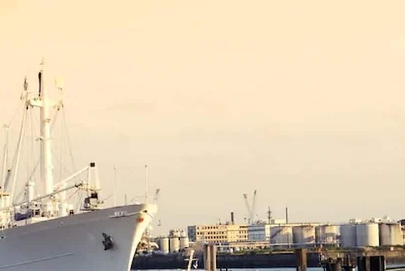 Jugendherberge Hamburg Auf Dem Stintfang Membership Required