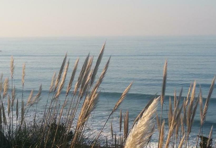 تختخواب و صبحانه Libertitu