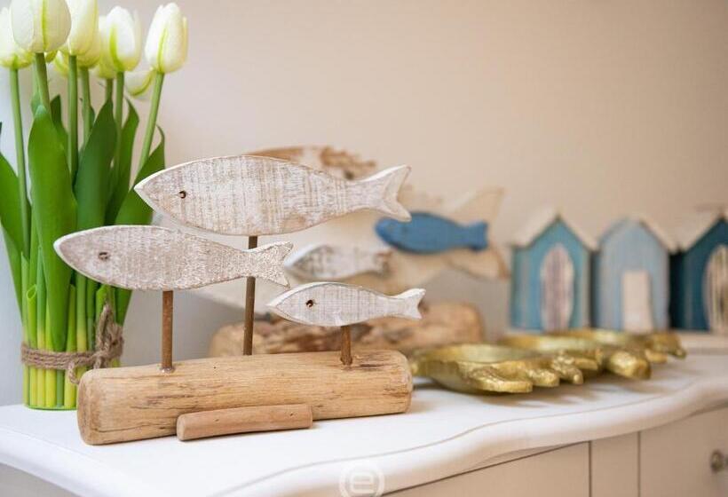 بنسيون La Buona Stella Rooms   City Centre