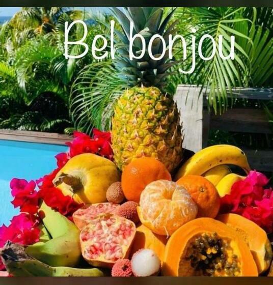 Studio Pour 2 Personnes Dans Une Villa Au Bord De Mer A Kourou