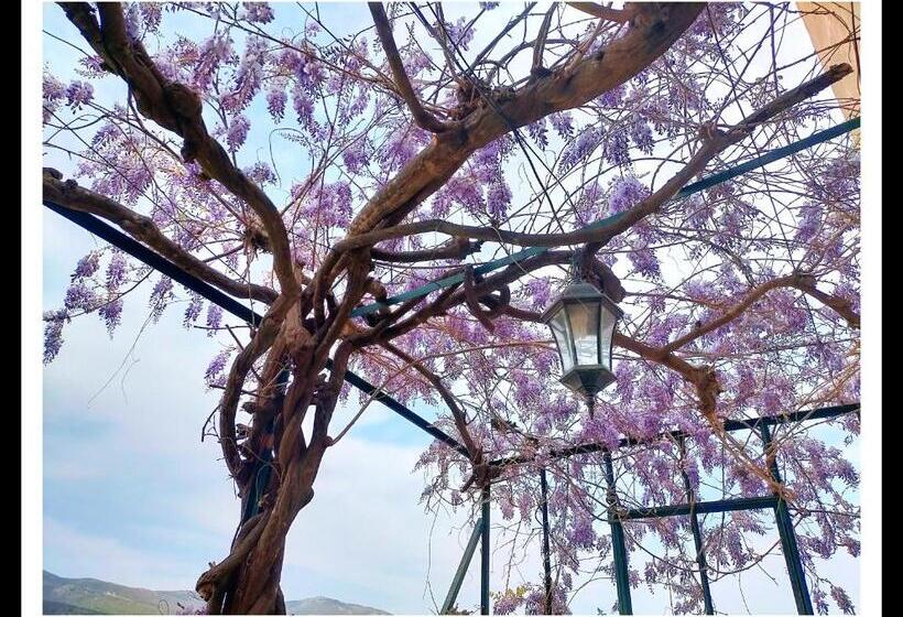 مبيت وإفطار La Belle Dame