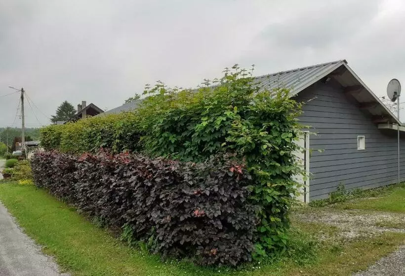 ベッドアンドブレックファースト Relais Des Tourterelles