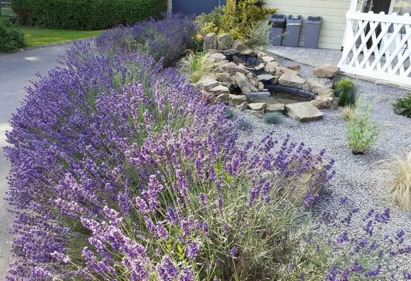 ベッドアンドブレックファースト Relais Des Tourterelles