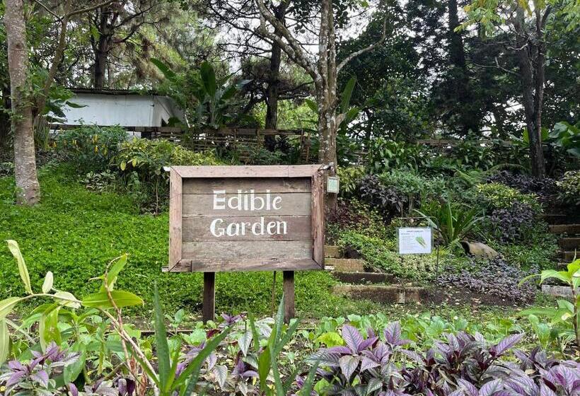 Casa Ayesha Sweet Staycation At La Bella Tagaytay