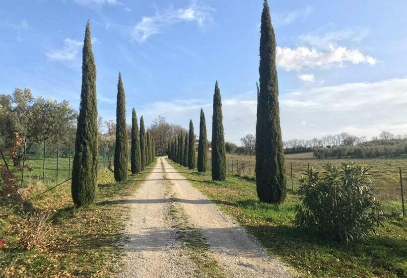 Отель Agriturismo La Lampada Di Atena