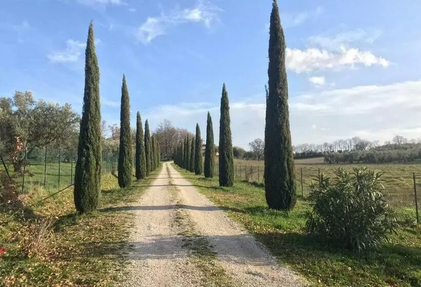 ホテル Agriturismo La Lampada Di Atena