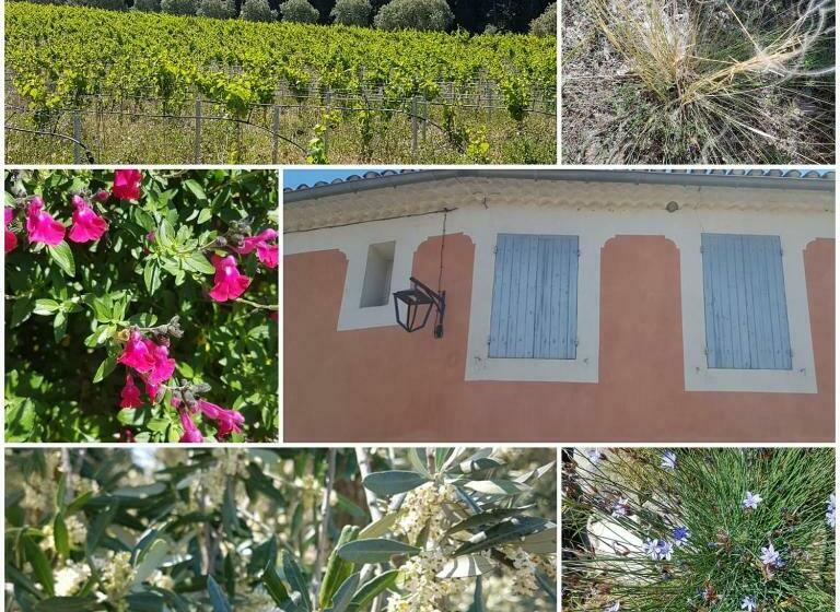 Пансион La Cabane Du Pesquier En Provence