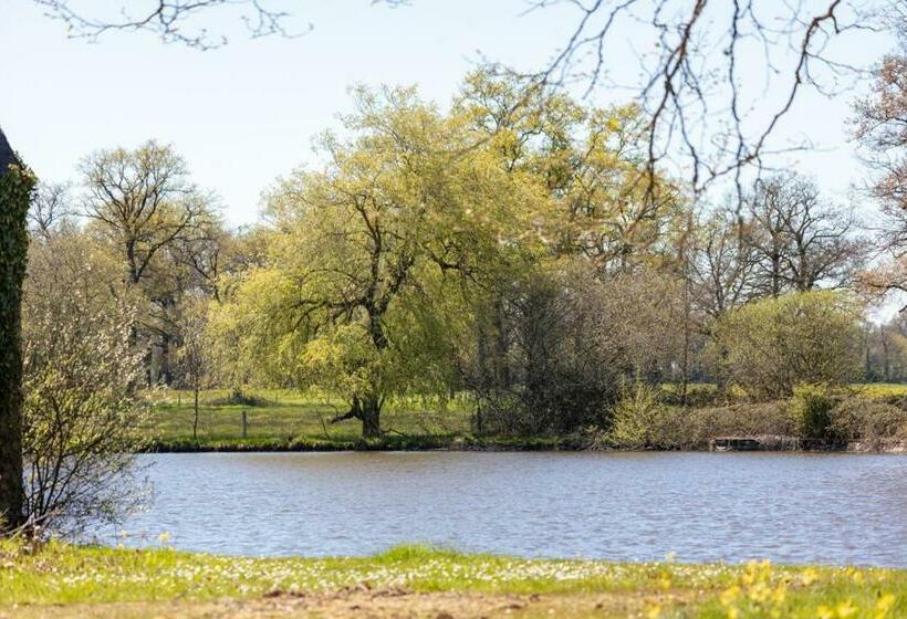 צימר Château D Escurat