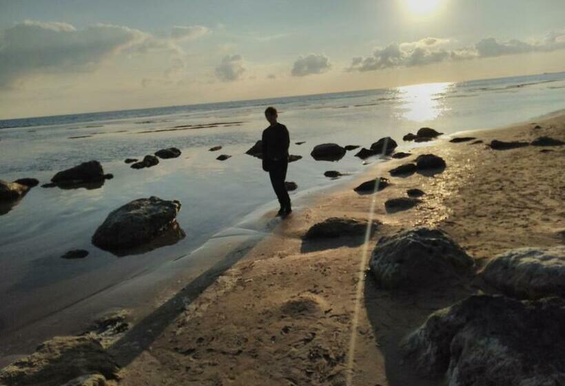 Bed and Breakfast No Zu Filì