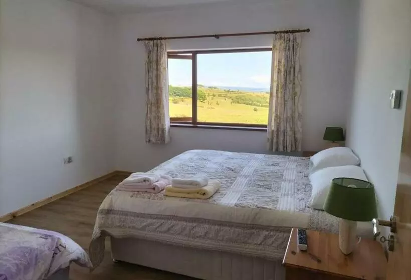 ペンション Peace And Tranquility