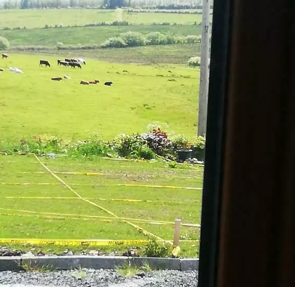 ペンション Peace And Tranquility