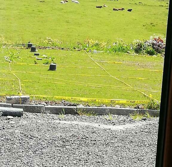 Pansiyon Peace And Tranquility