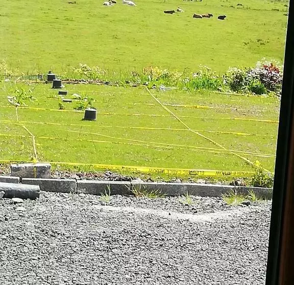 ペンション Peace And Tranquility