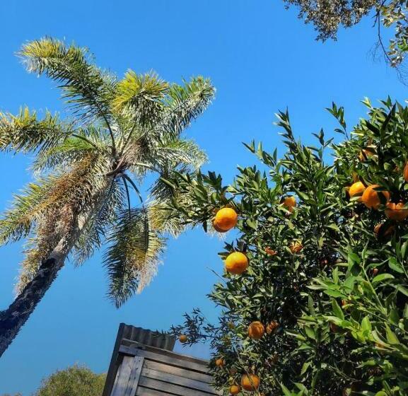 호스텔 Pousada Quinta São Pedro