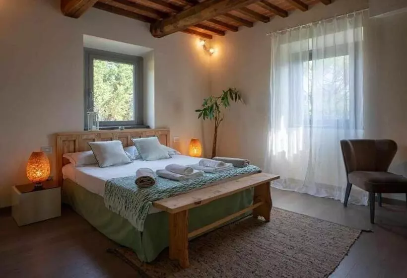 ベッドアンドブレックファースト Alba Morus Bed E Breakfast Sentiti A Casa Nel Cuore Della Toscana