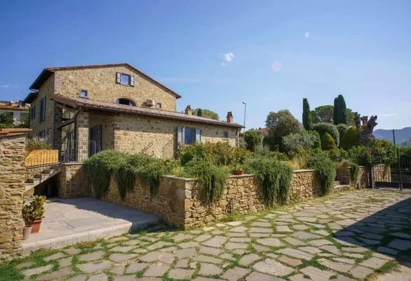 ベッドアンドブレックファースト Alba Morus Bed E Breakfast Sentiti A Casa Nel Cuore Della Toscana