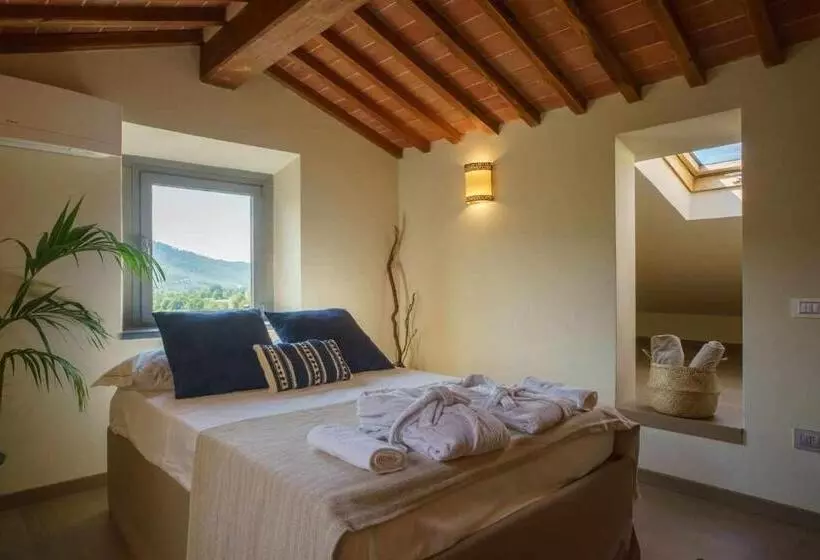 ベッドアンドブレックファースト Alba Morus Bed E Breakfast Sentiti A Casa Nel Cuore Della Toscana