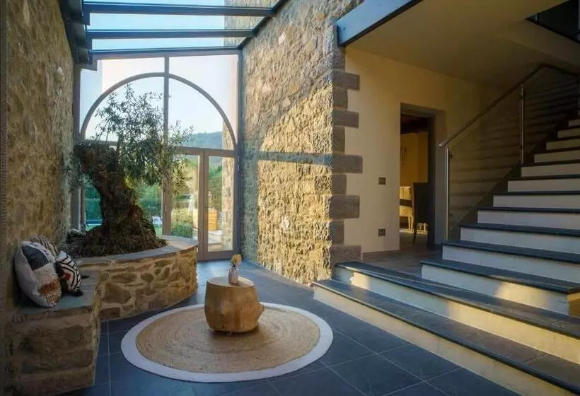 ベッドアンドブレックファースト Alba Morus Bed E Breakfast Sentiti A Casa Nel Cuore Della Toscana