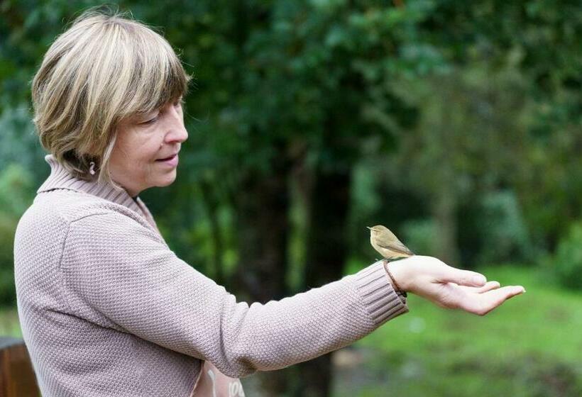 Bed and Breakfast Ardenne Essentielle