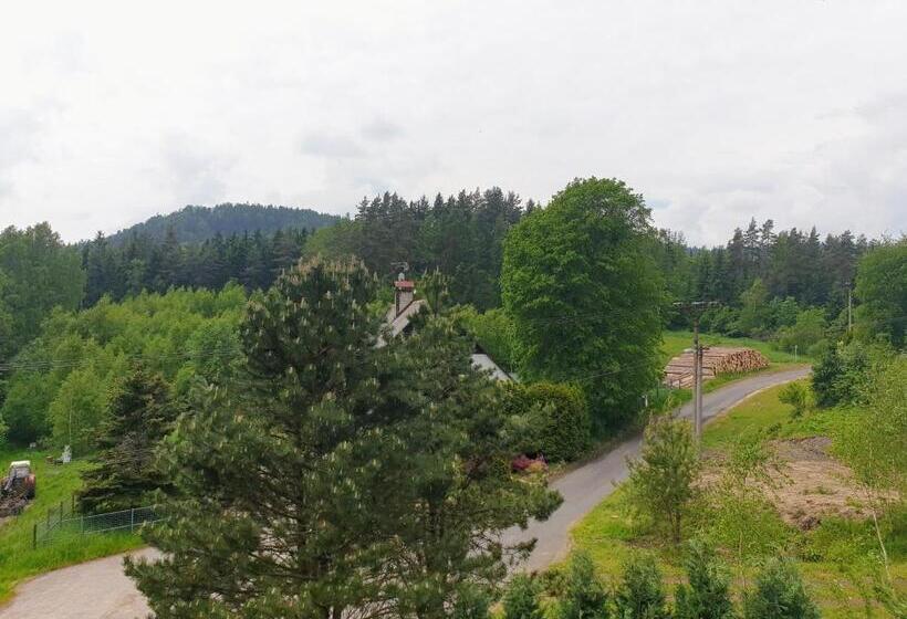 Отель Penzion Lumis