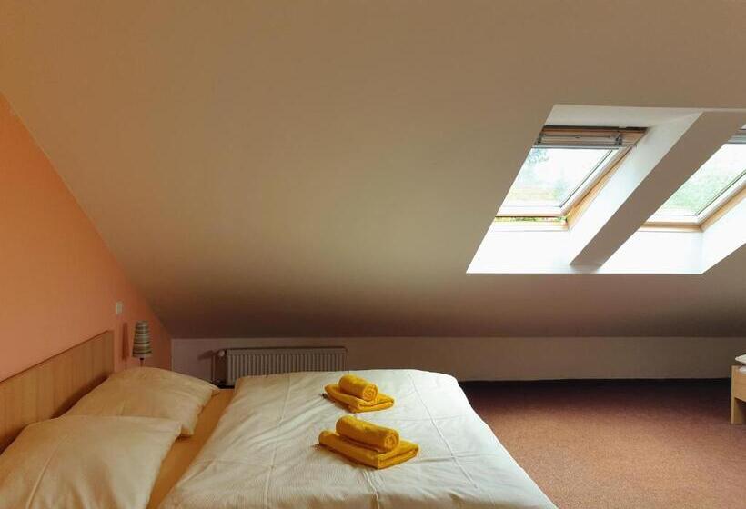 Отель Penzion Lumis