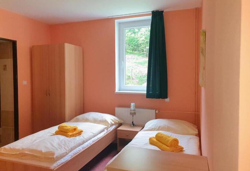 Отель Penzion Lumis