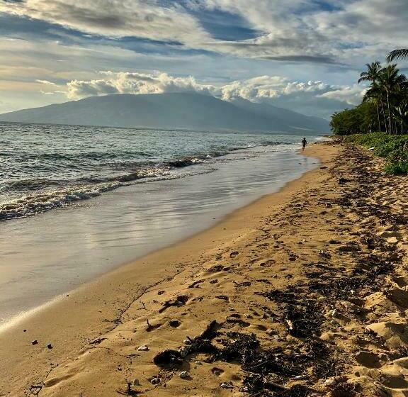 Kihei Maui Island Style, Beach, Pool, Restaurants Kihei Gardens Estates