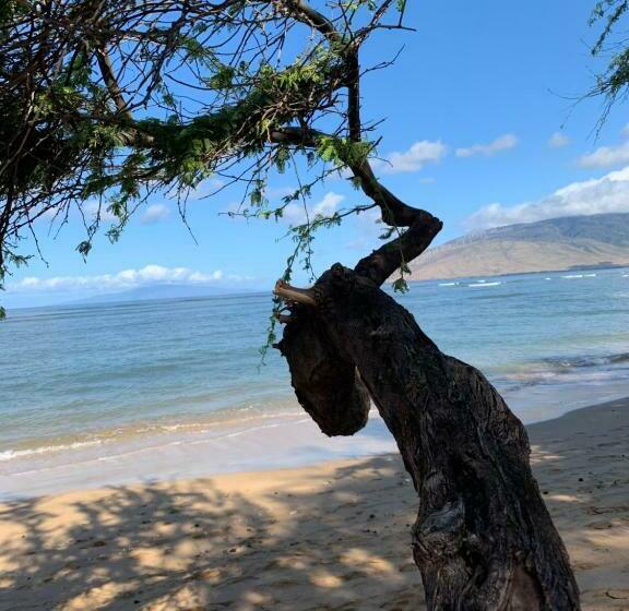 Kihei Maui Island Style, Beach, Pool, Restaurants Kihei Gardens Estates