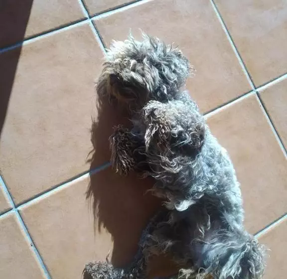 Majatalo Del Rey Guest House